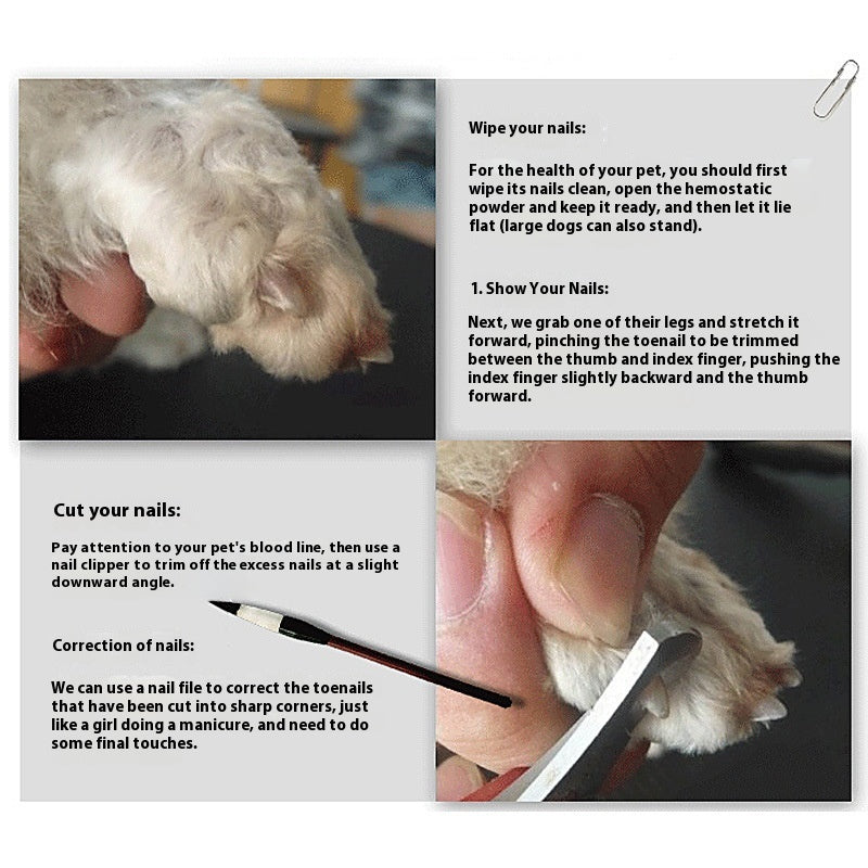 Pet Grooming Shaver Blade Set