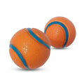 Dog Fetch Chew Ball Toy