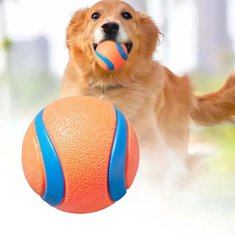 Dog Fetch Chew Ball Toy