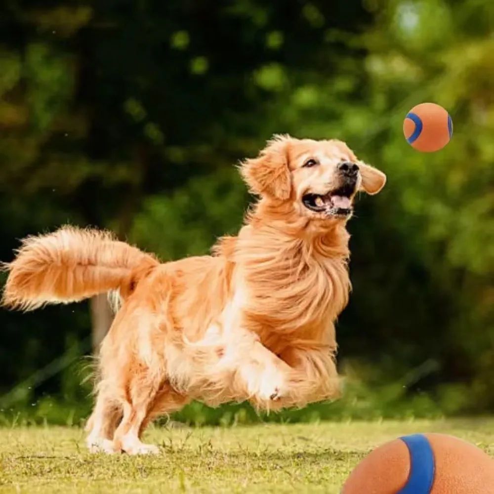 Dog Fetch Chew Ball Toy