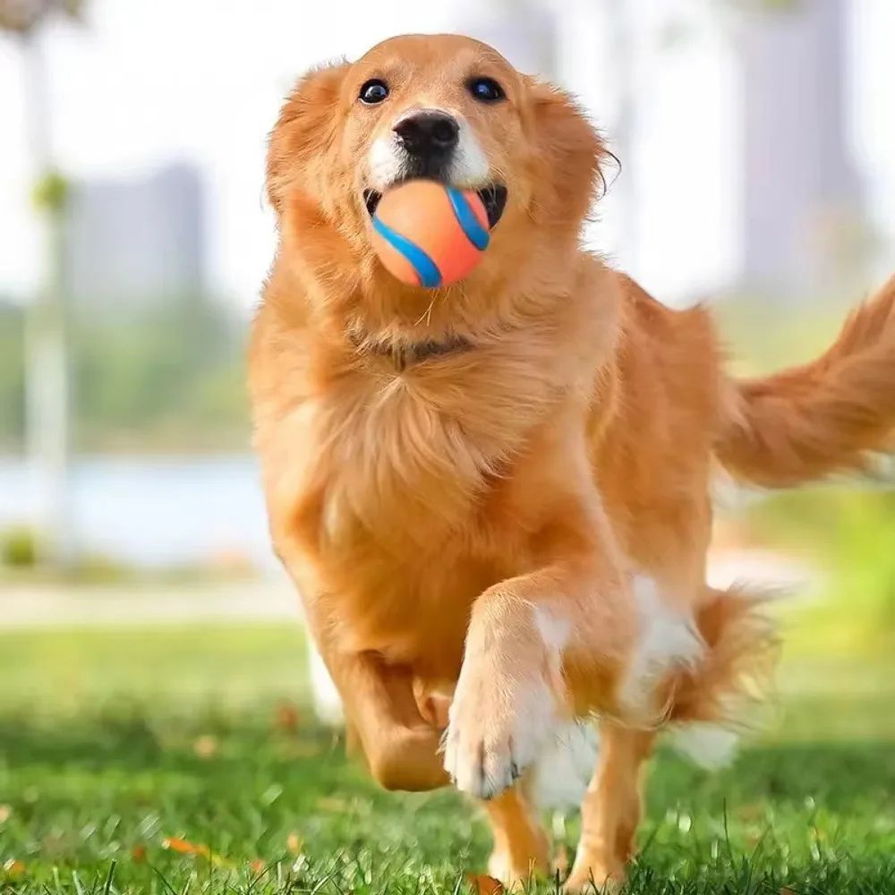 Dog Fetch Chew Ball Toy
