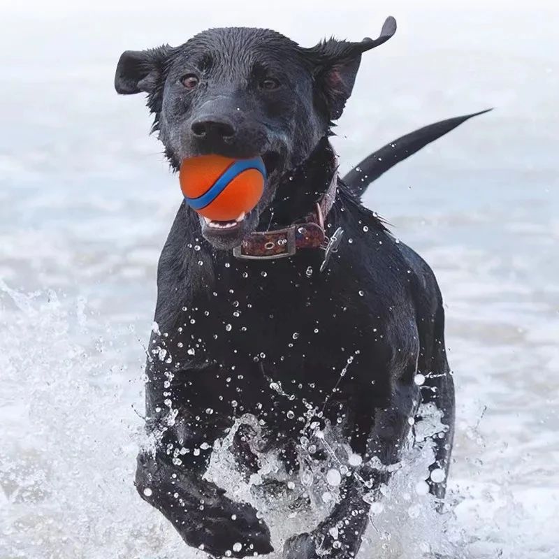 Dog Fetch Chew Ball Toy