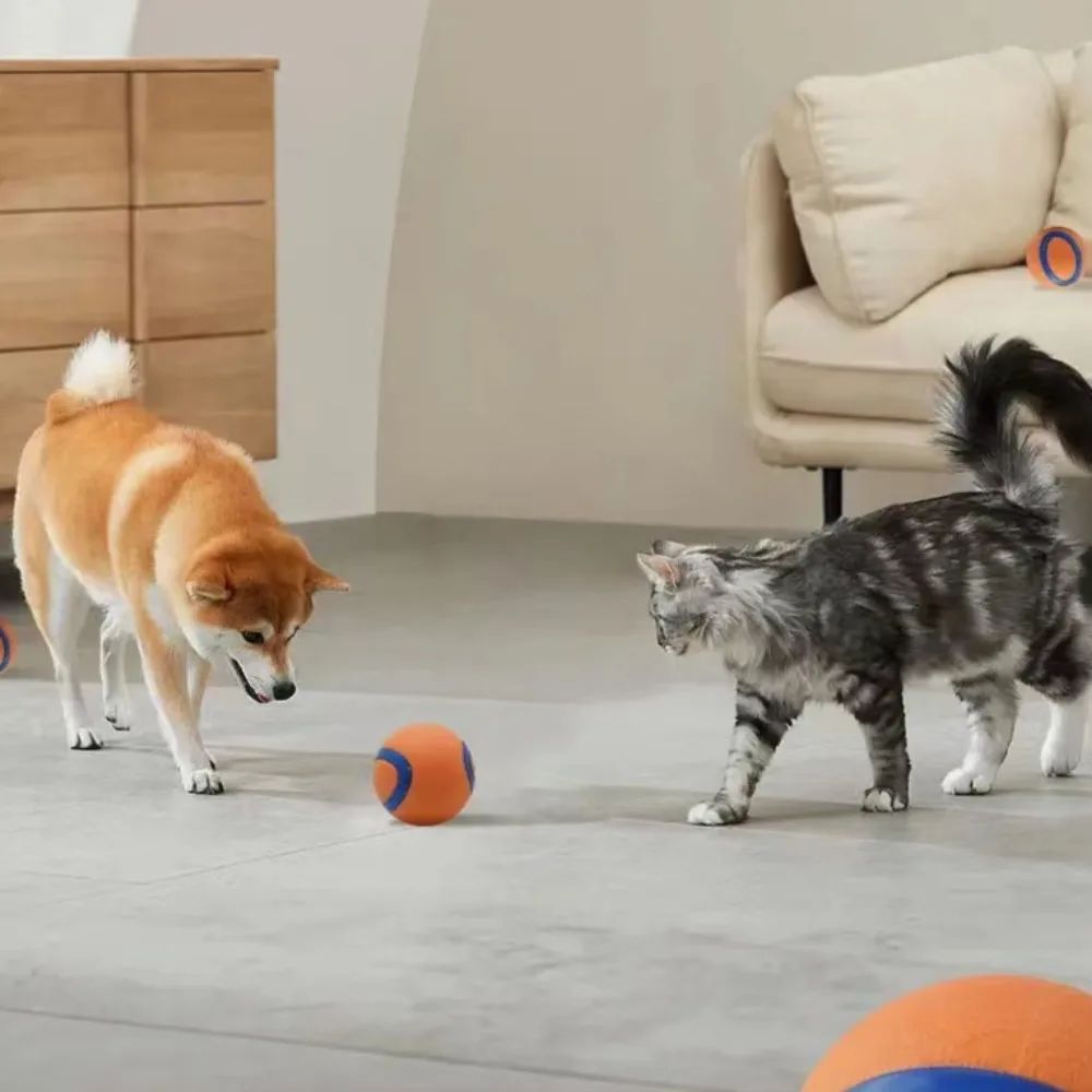 Dog Fetch Chew Ball Toy