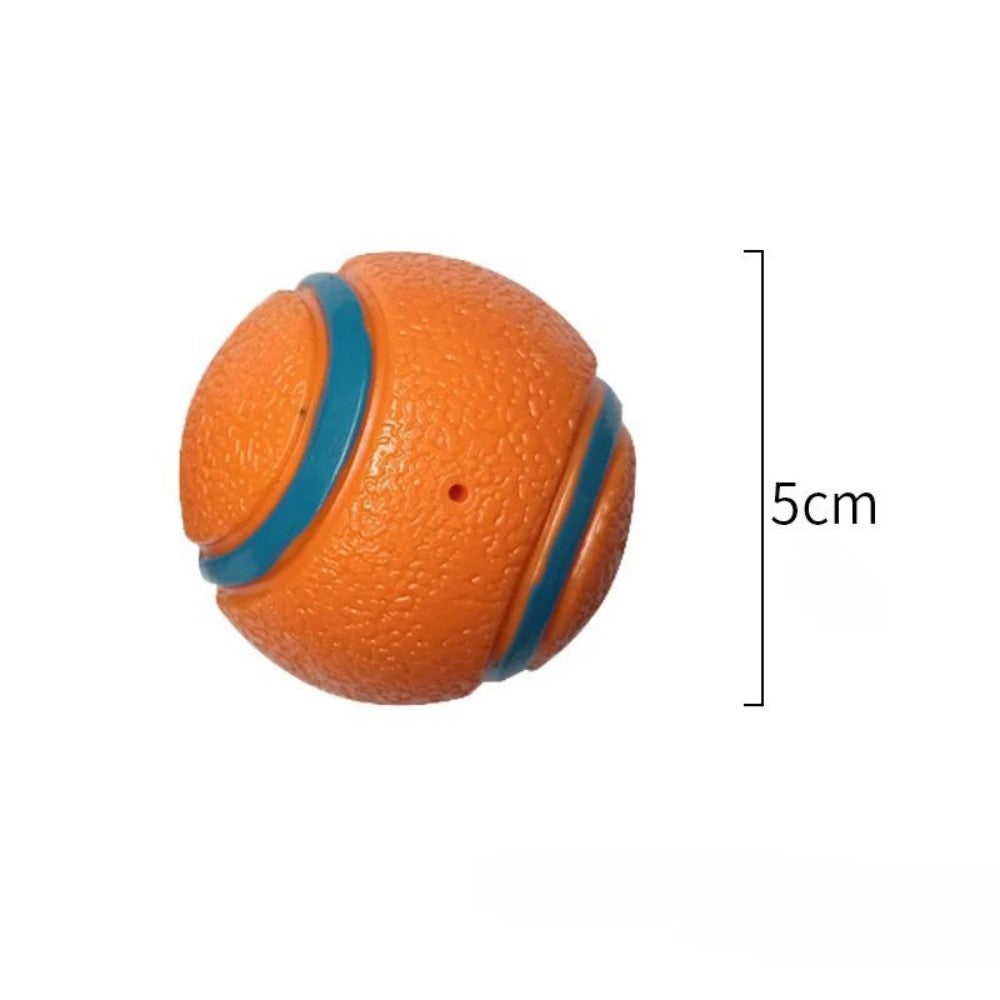 Dog Fetch Chew Ball Toy