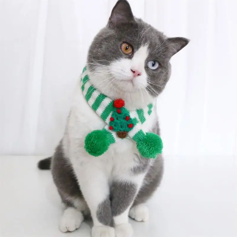 Winter Pet Knitted Scarf Collar