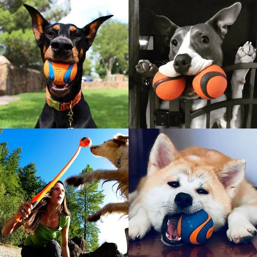 Dog Fetch Chew Ball Toy