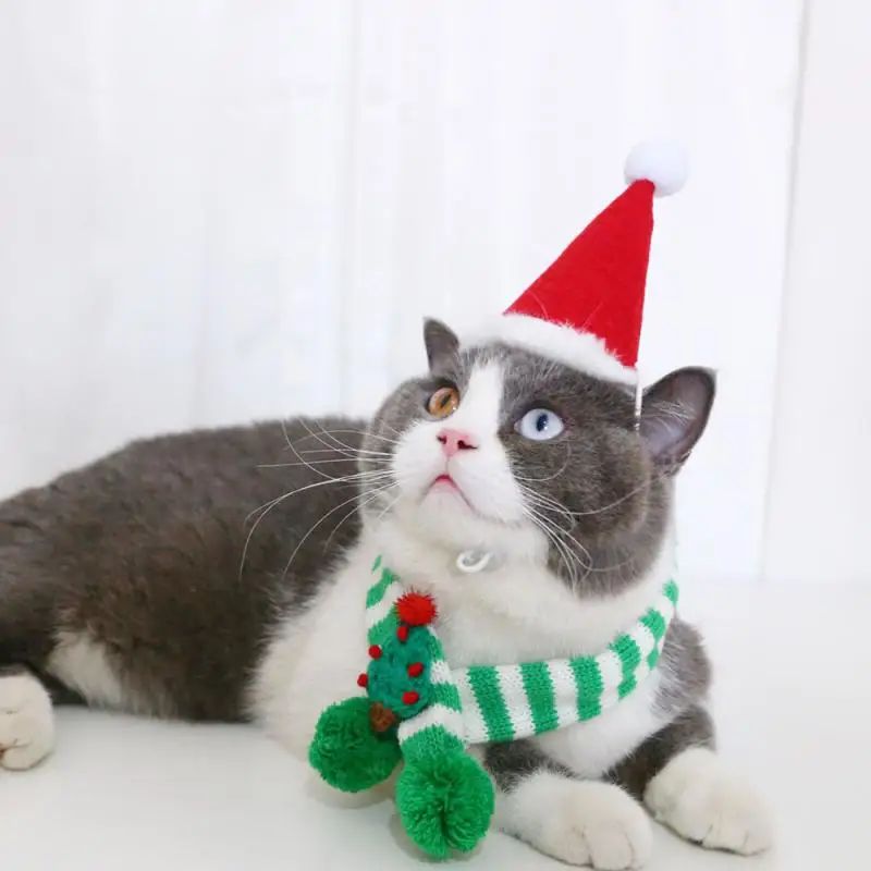 Winter Pet Knitted Scarf Collar