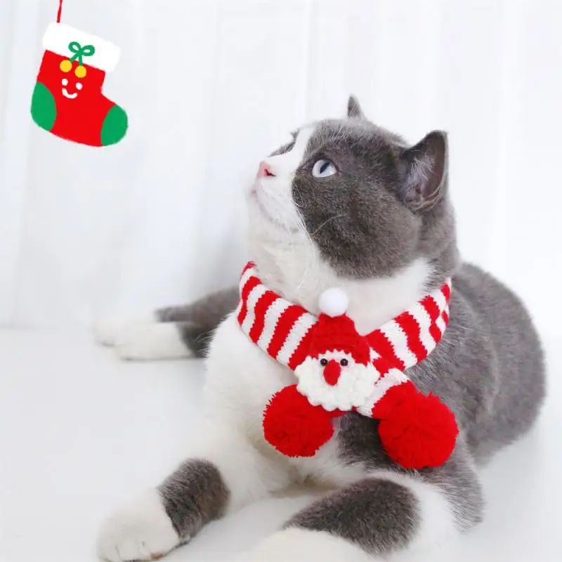 Winter Pet Knitted Scarf Collar
